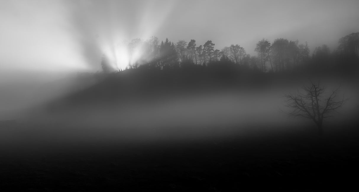Foggy and sunny weather Poster och Canvastavla