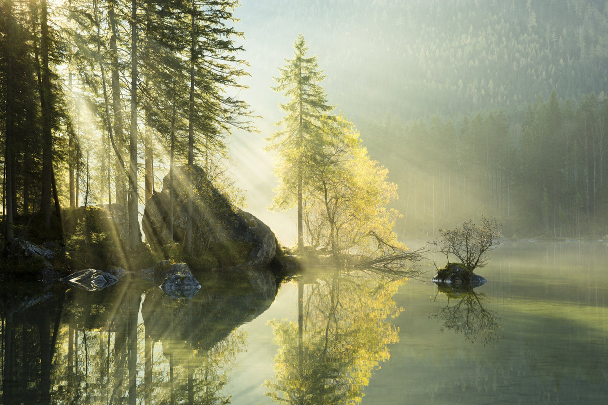 God Rays Poster och Canvastavla