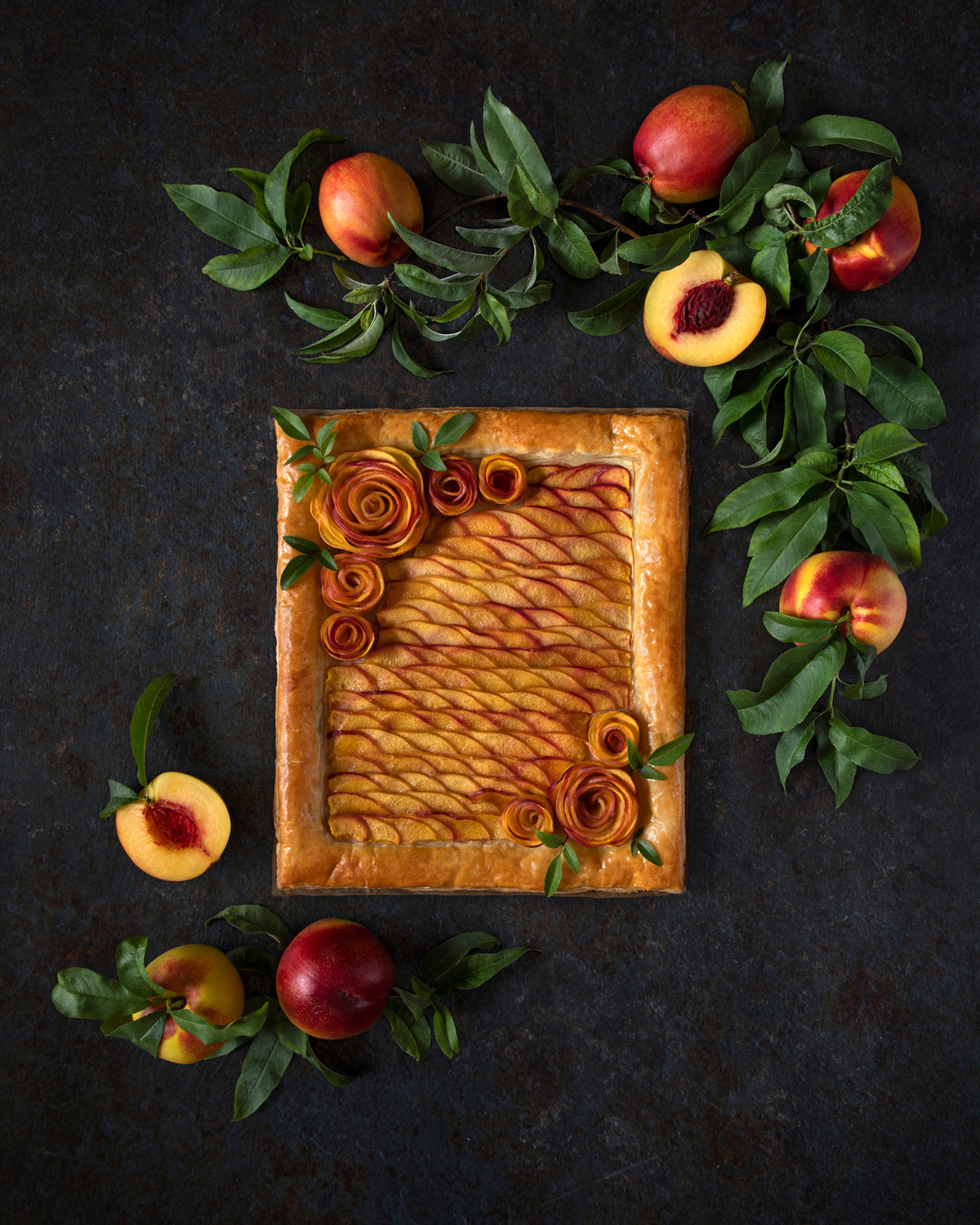 Peach roses tart Poster och Canvastavla