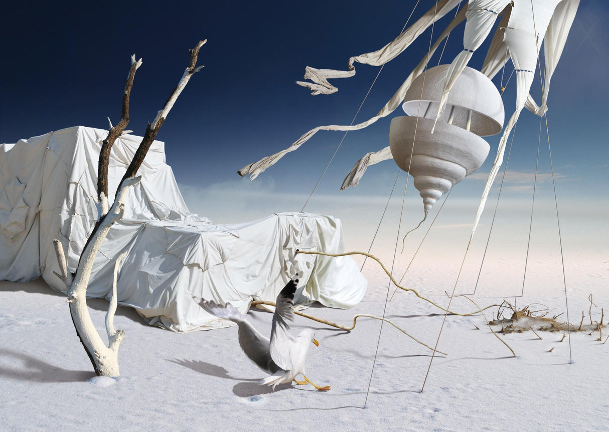 White and blue Poster och Canvastavla