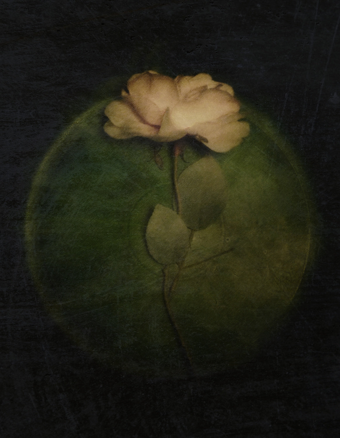 Evermore Poster och Canvastavla
