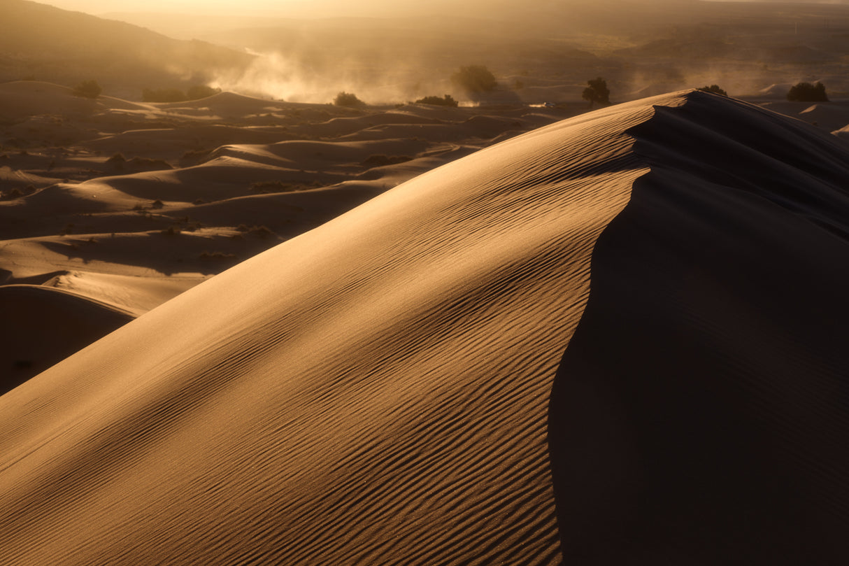 Merzuga Poster och Canvastavla
