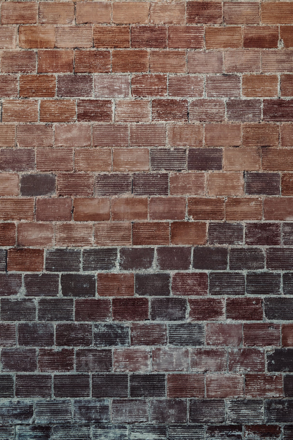 Brick Wall Poster och Canvastavla