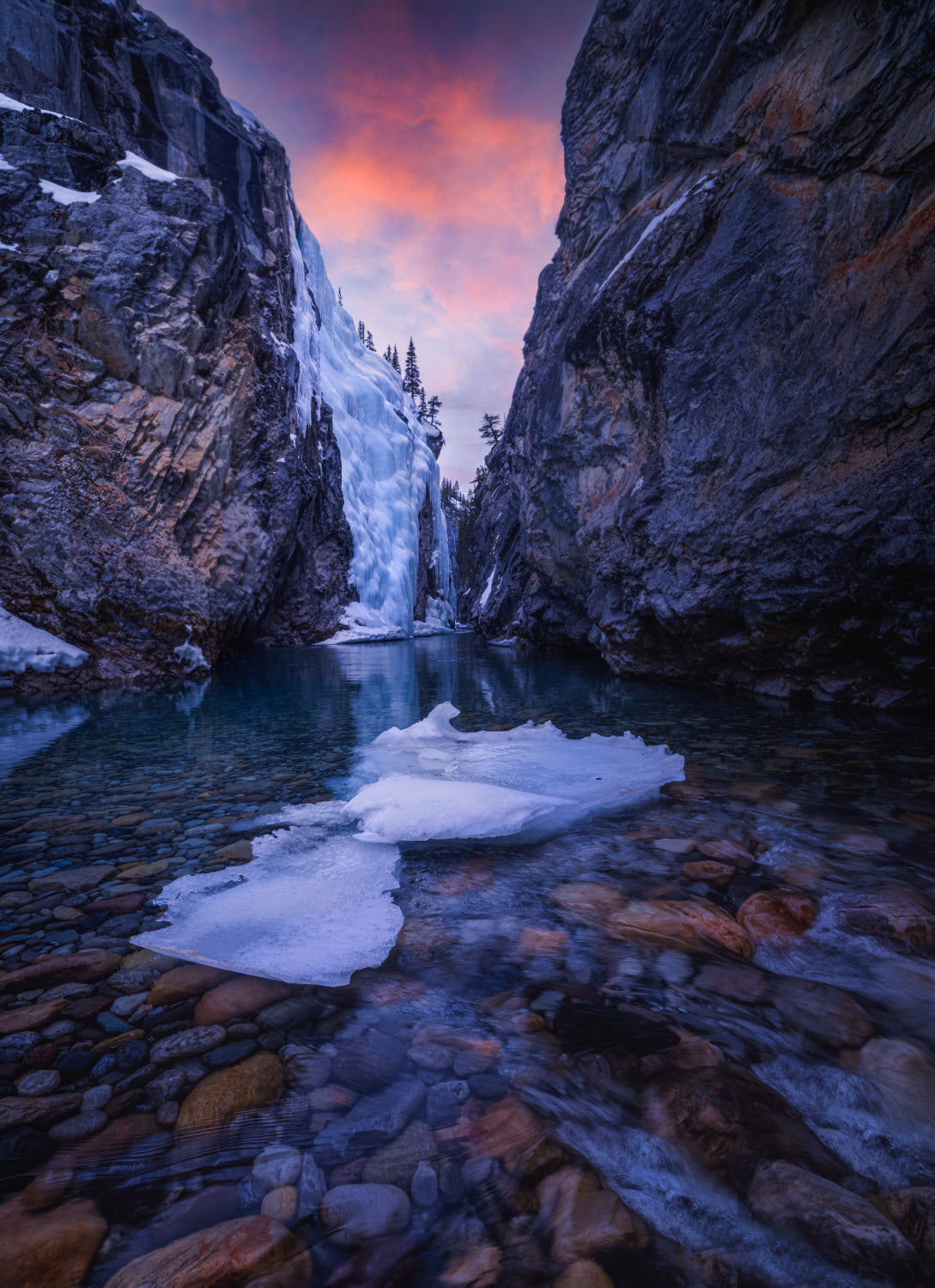 Rocky Mountain in Early Spring Poster och Canvastavla