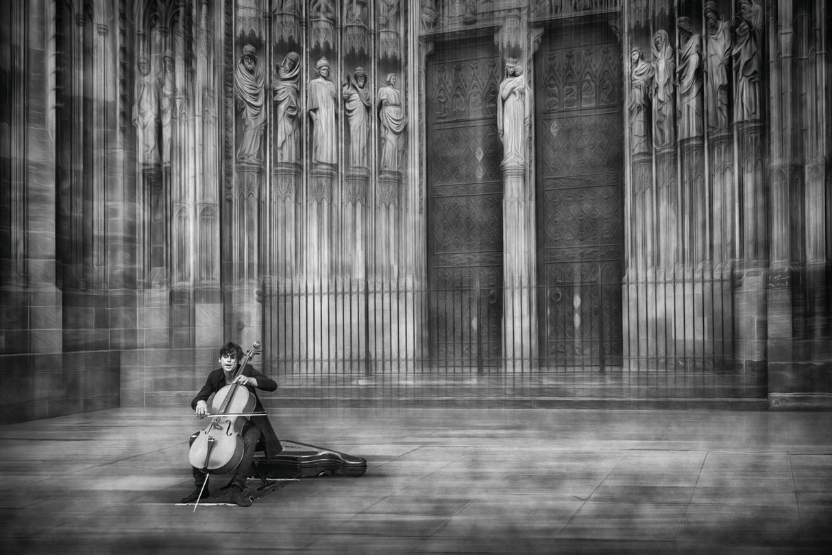 the cellist Poster och Canvastavla