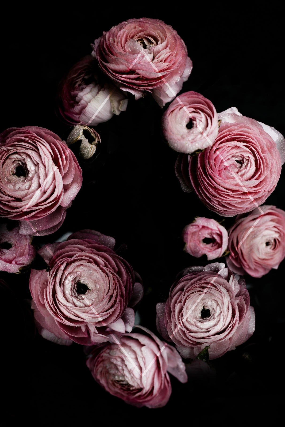 Blooming Geometry 1 Poster och Canvastavla