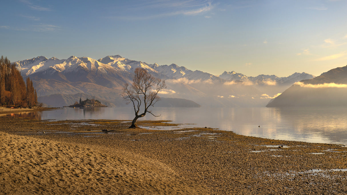 Morning light at Wanaka Poster och Canvastavla