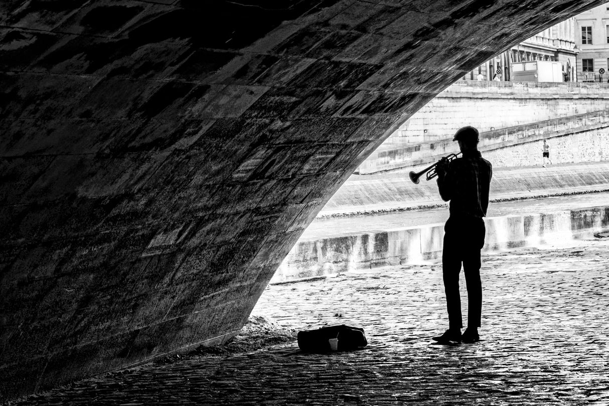 Music under the bridge Poster och Canvastavla