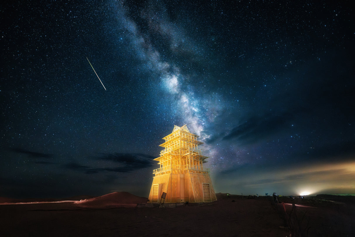 The Man Who Fell to Earth Poster och Canvastavla