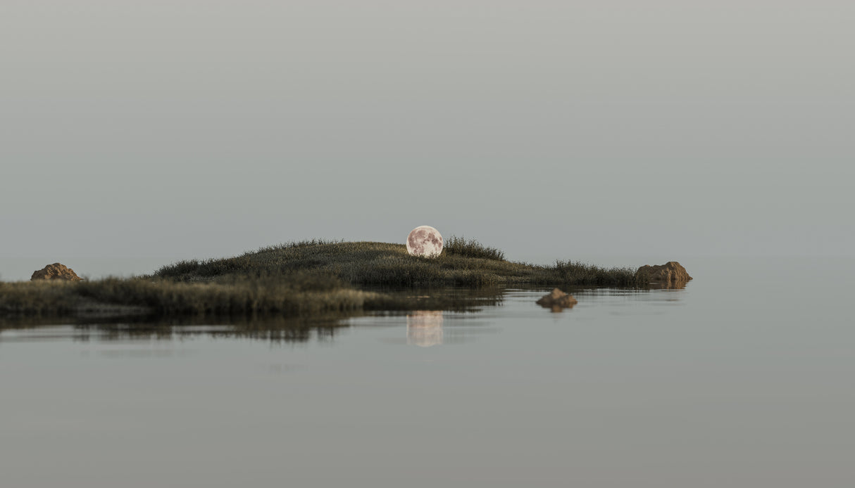 Landscapejanuary1 2h I47 I4 Poster och Canvastavla