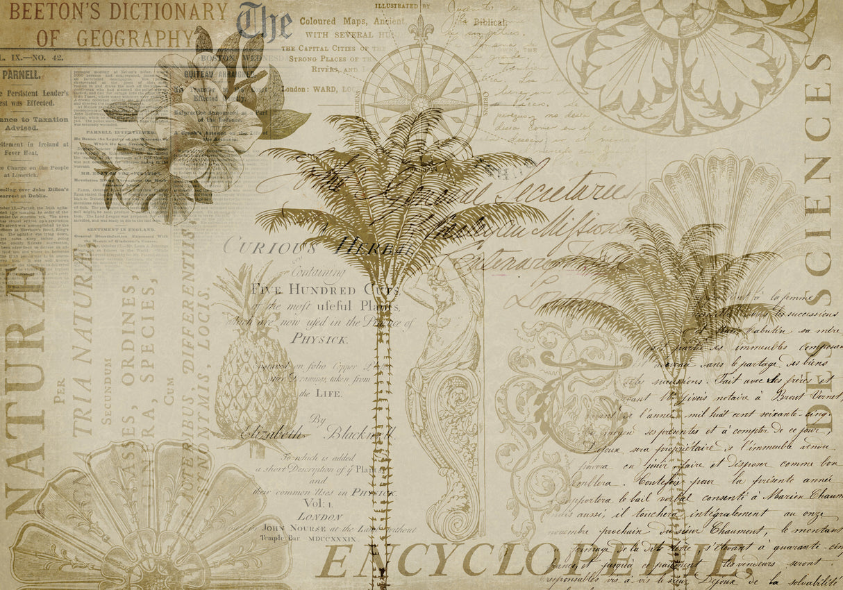 Tropical Encyclopedia Poster och Canvastavla