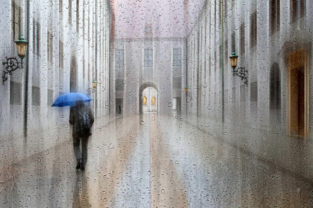 living in the Residenz Poster och Canvastavla