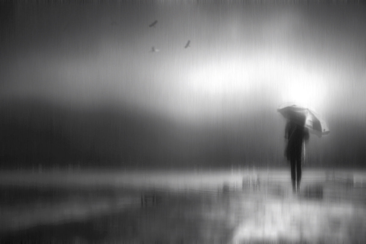 looking for... Poster och Canvastavla