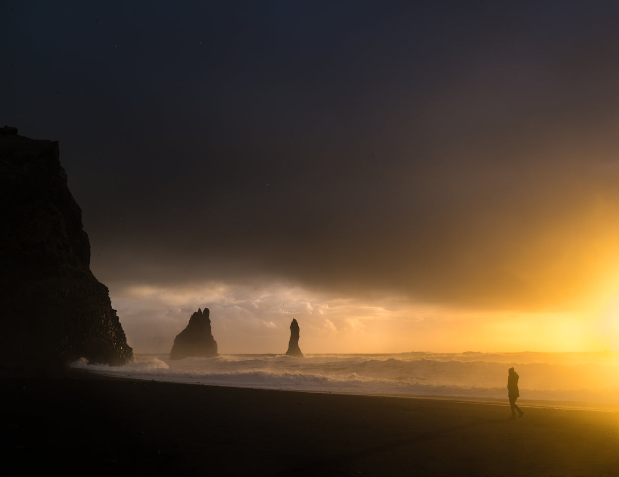 Reynisfjara Poster och Canvastavla