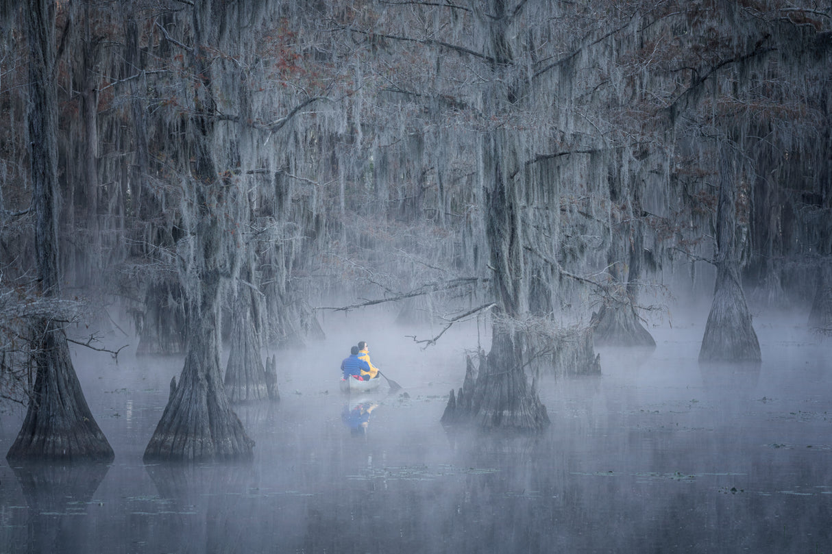 Caddo lake Poster och Canvastavla