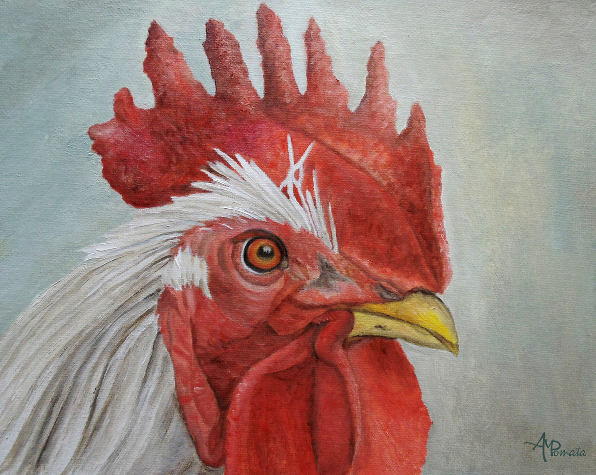 Mister Rooster Poster och Canvastavla