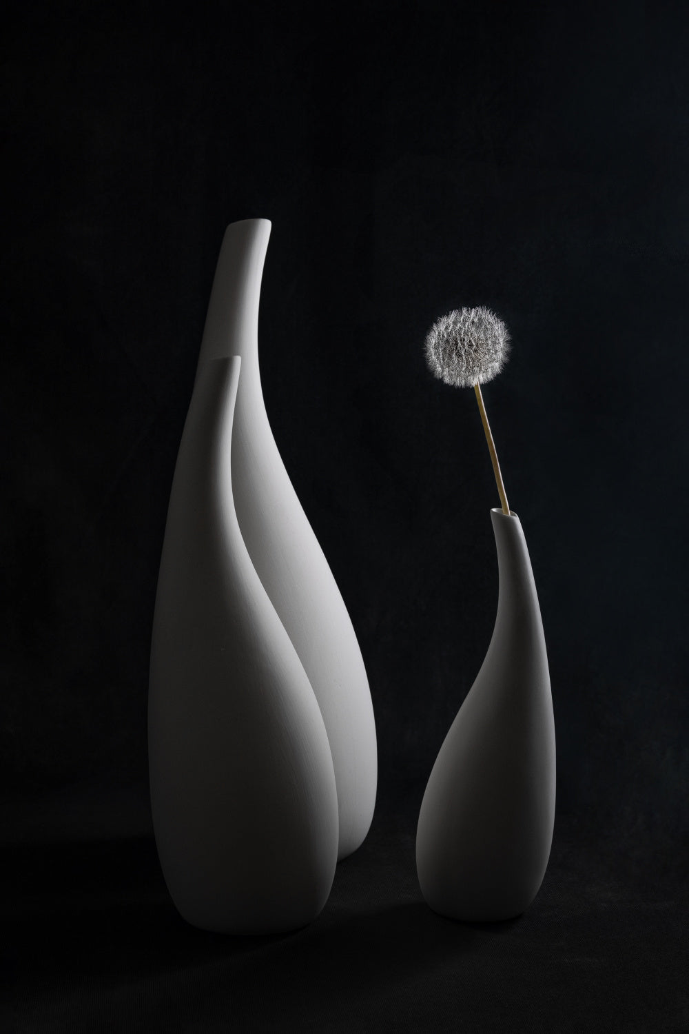 Dandelion Flower Poster och Canvastavla