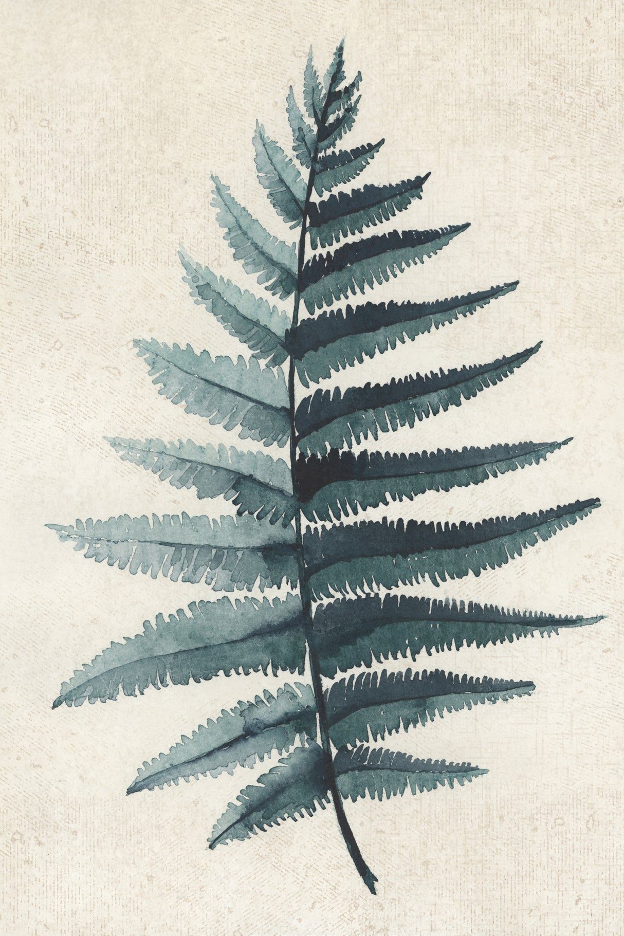 Teal watercolor fern 5 Poster och Canvastavla