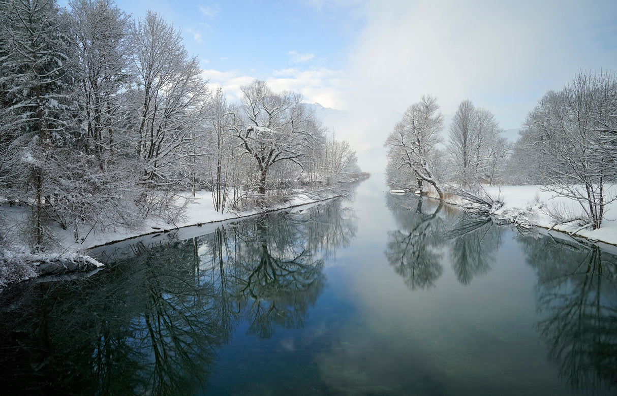 Winter Poster och Canvastavla