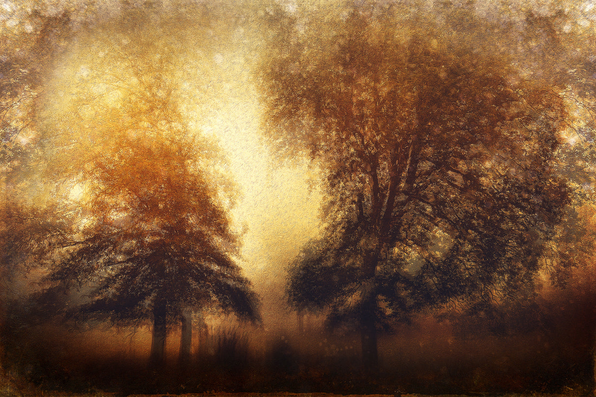 Poster och Canvastavla