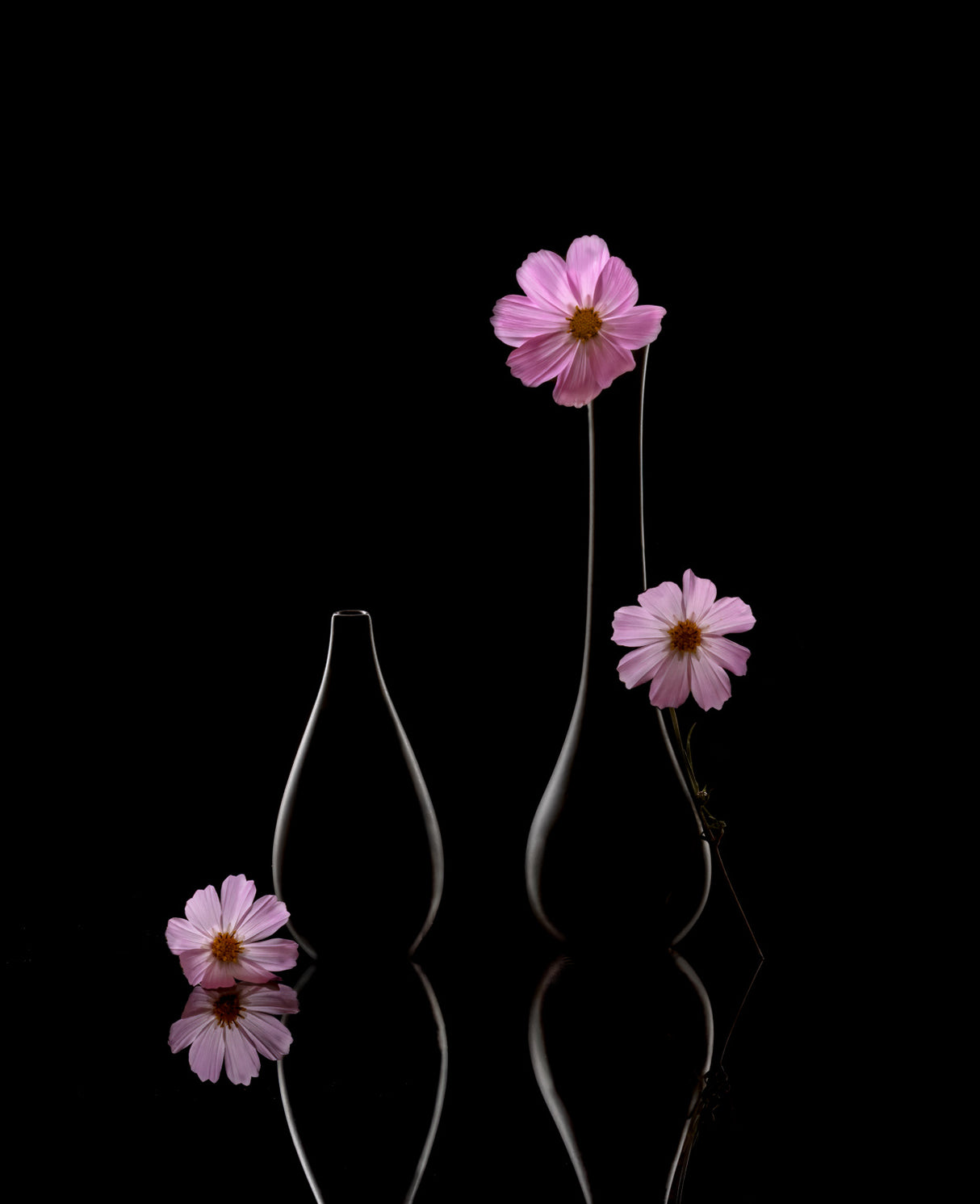 Flowers and vases Poster och Canvastavla