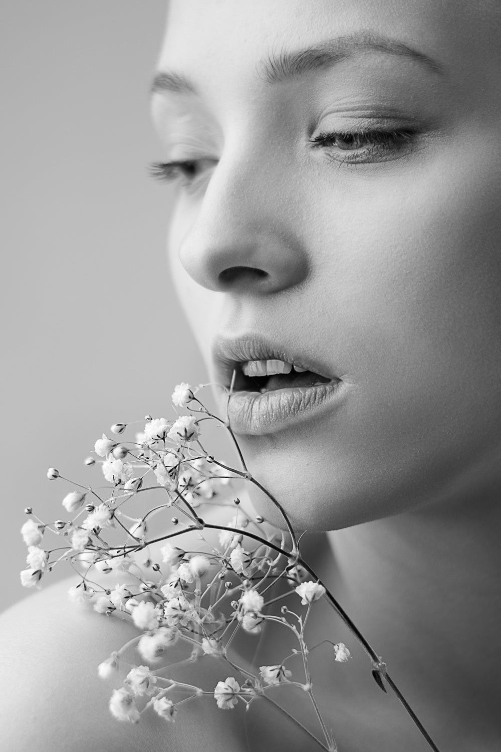 Gypsophila Poster och Canvastavla