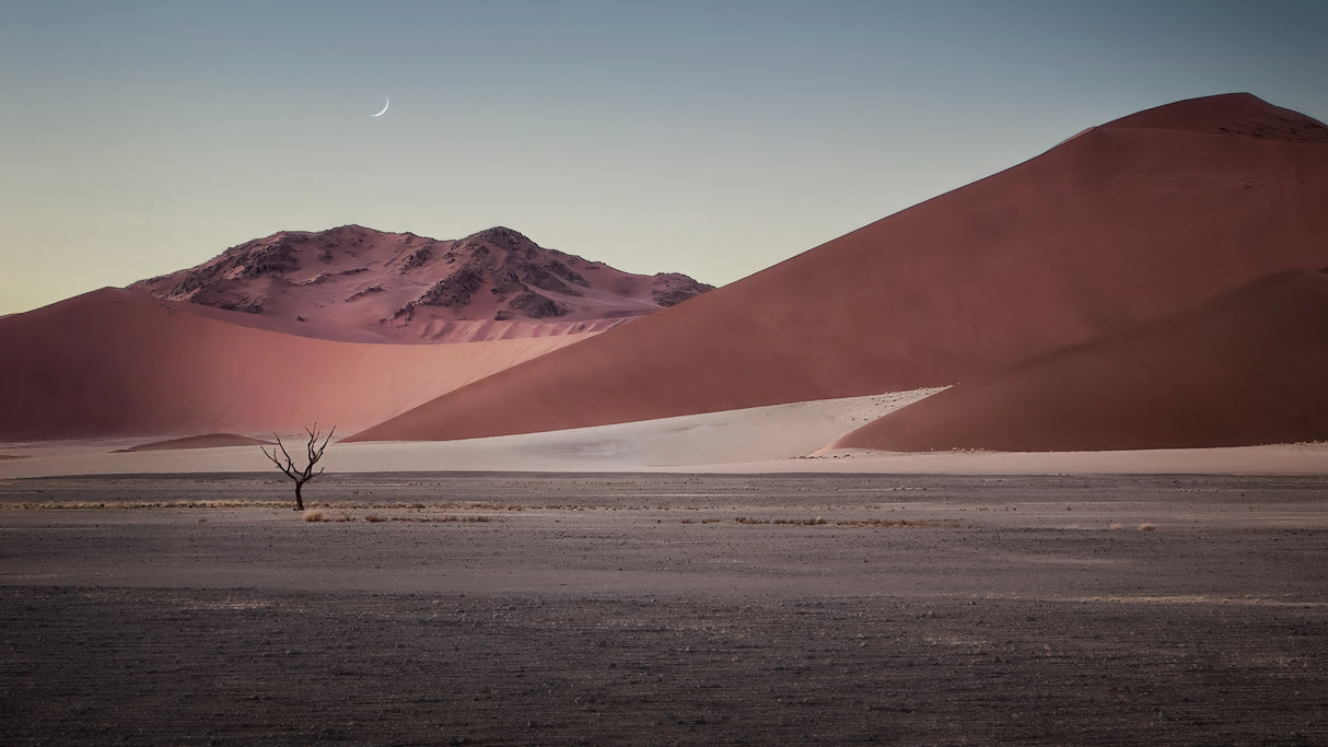 Sand dune in Namibia Poster och Canvastavla