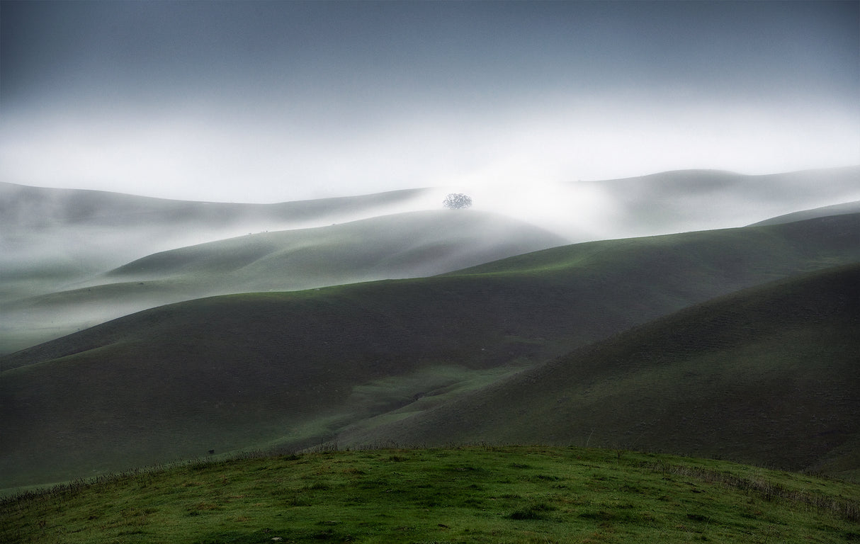 Rolling Hills and Fog Poster och Canvastavla