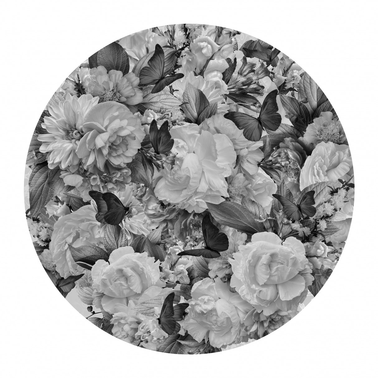 Morning Blooms Black & White Poster och Canvastavla