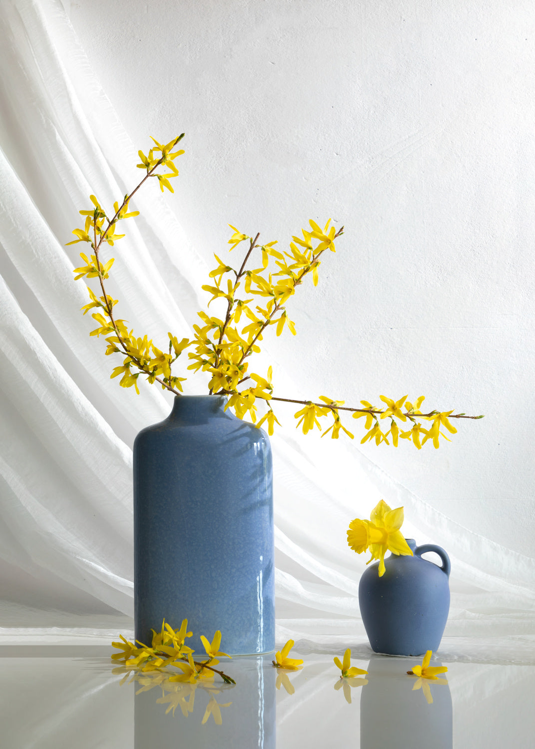 Forsythia flower Poster och Canvastavla