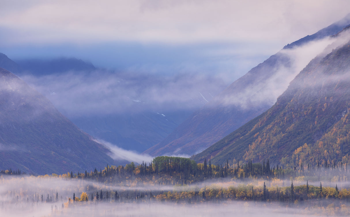 Autumn whispered by the fog Poster och Canvastavla