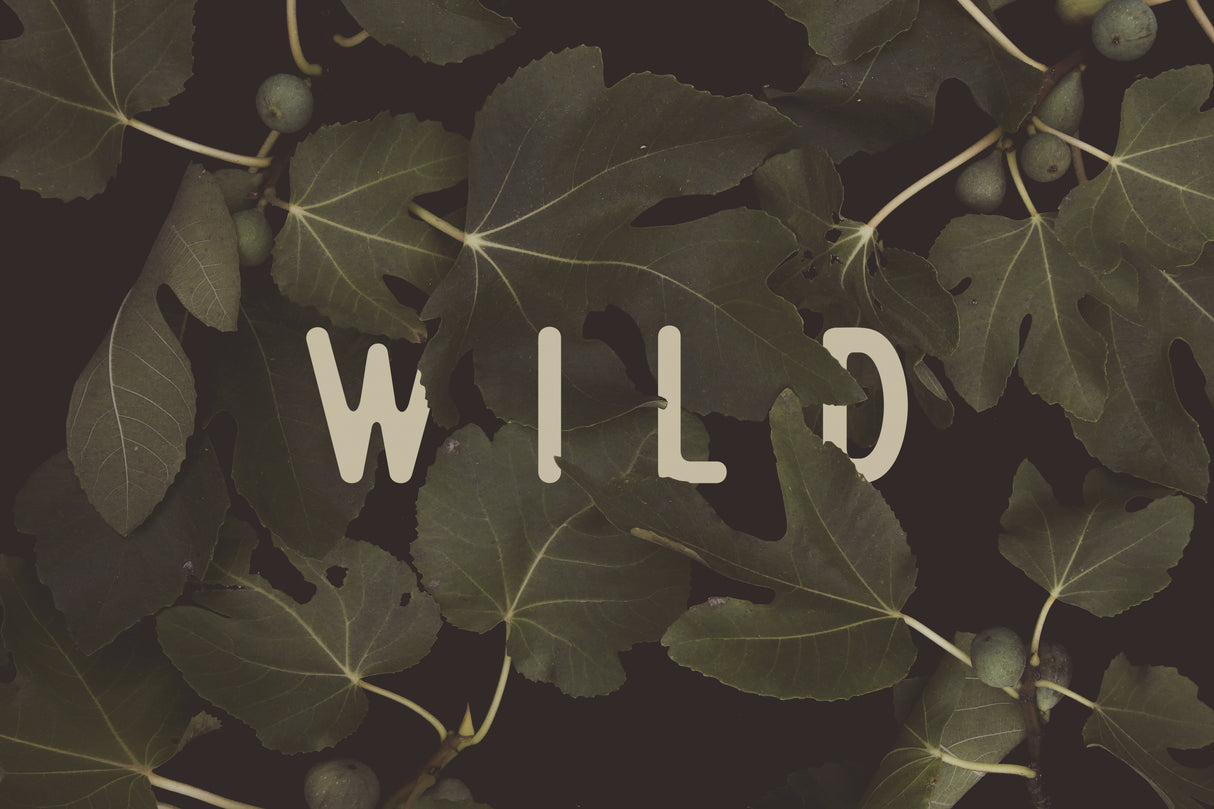 Wild Nº1 Poster och Canvastavla