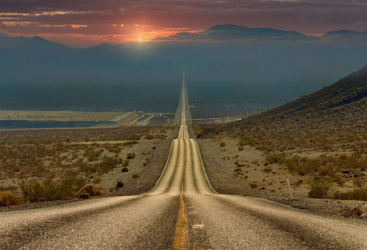 My way... Poster och Canvastavla