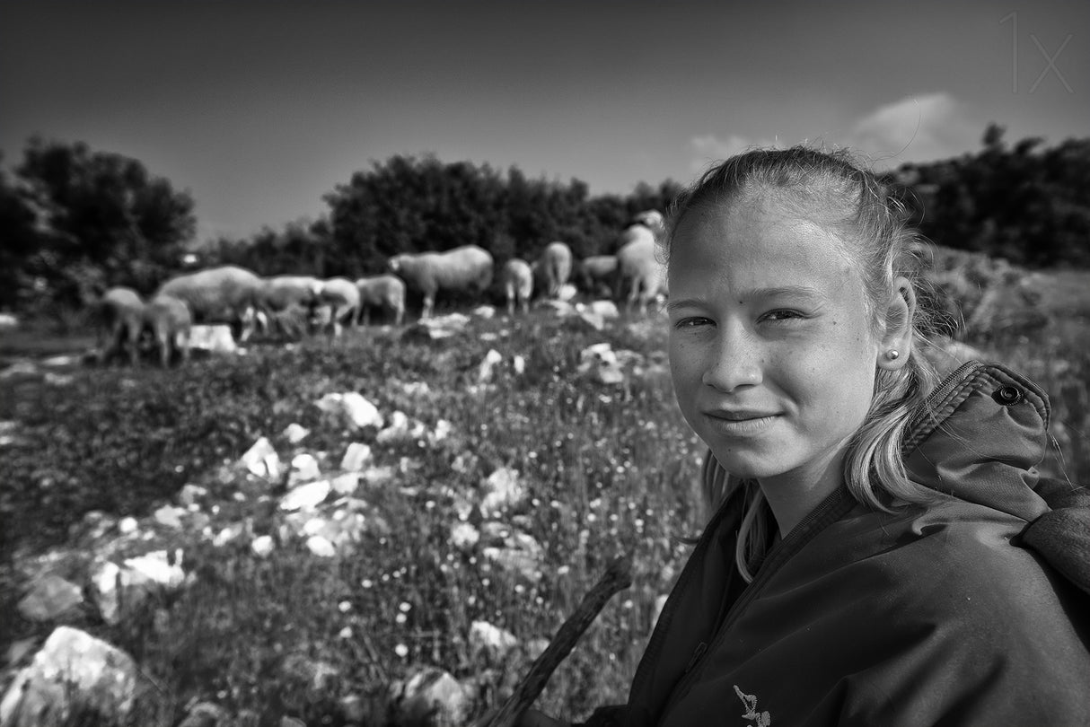 Shepherdess Poster och Canvastavla