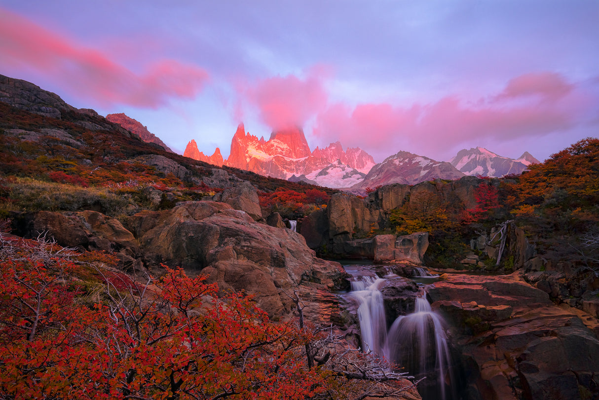 Heaven on Earth Poster och Canvastavla