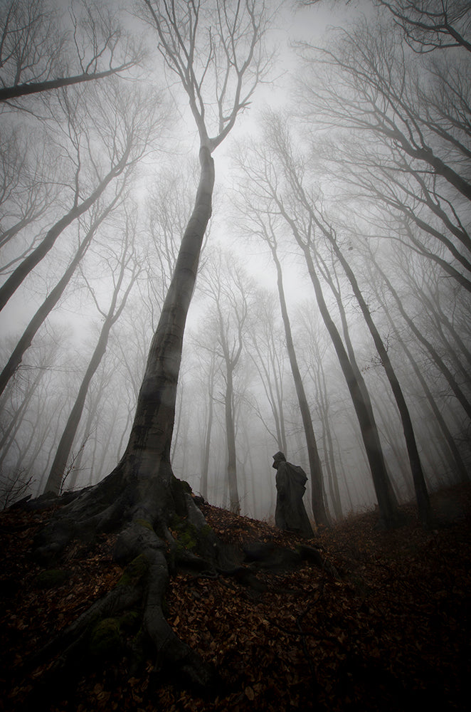 Mysterious silhouette under giant tree Poster och Canvastavla
