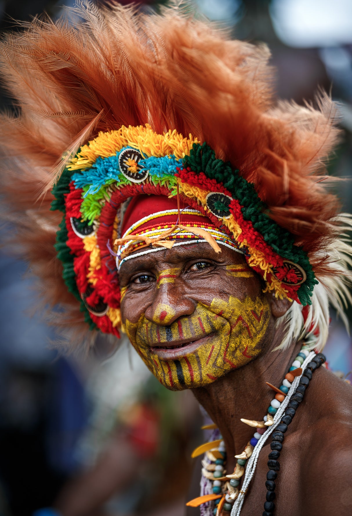 Papua New Guinea portrait Poster och Canvastavla