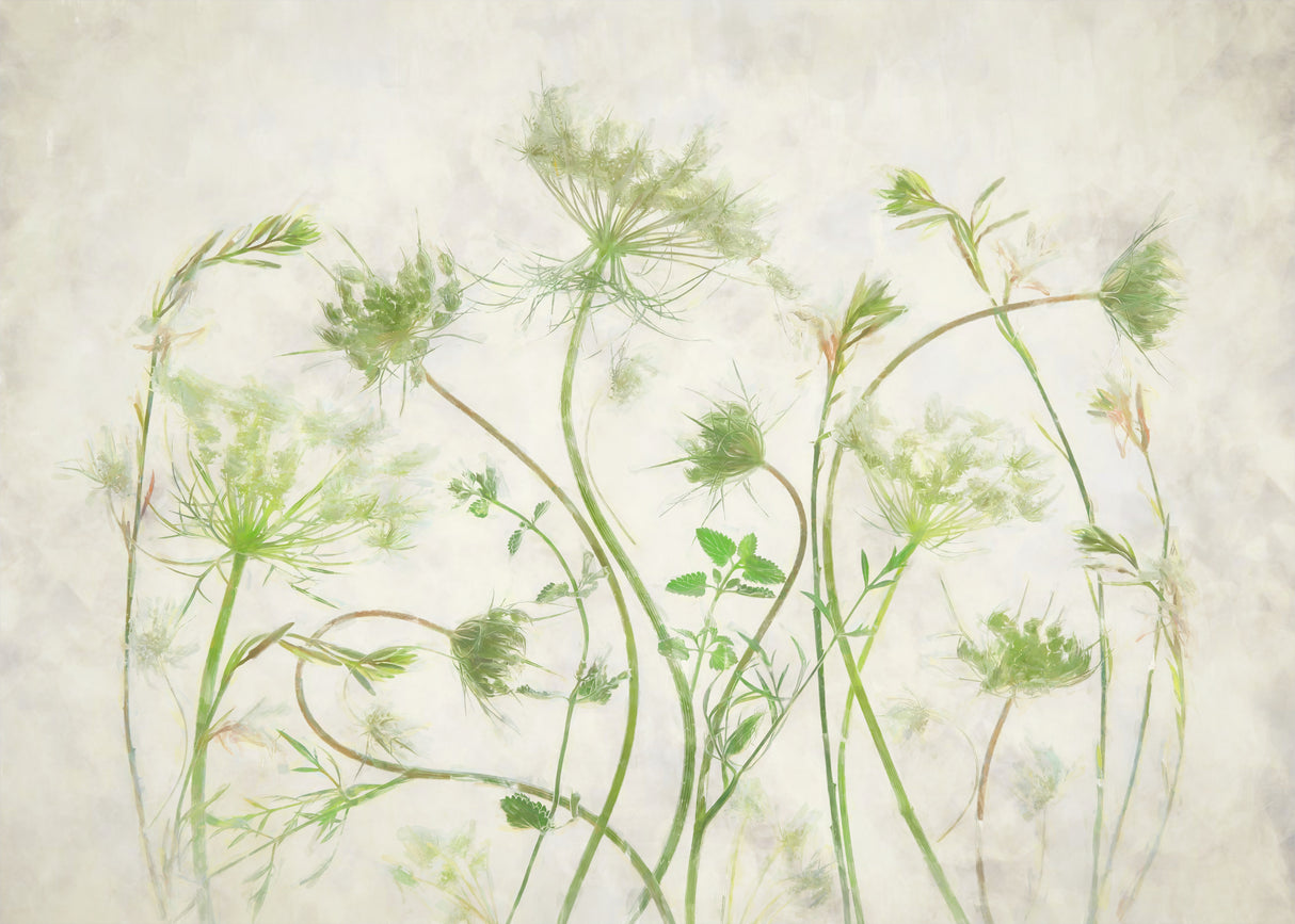 Wild Herb Garden Poster och Canvastavla
