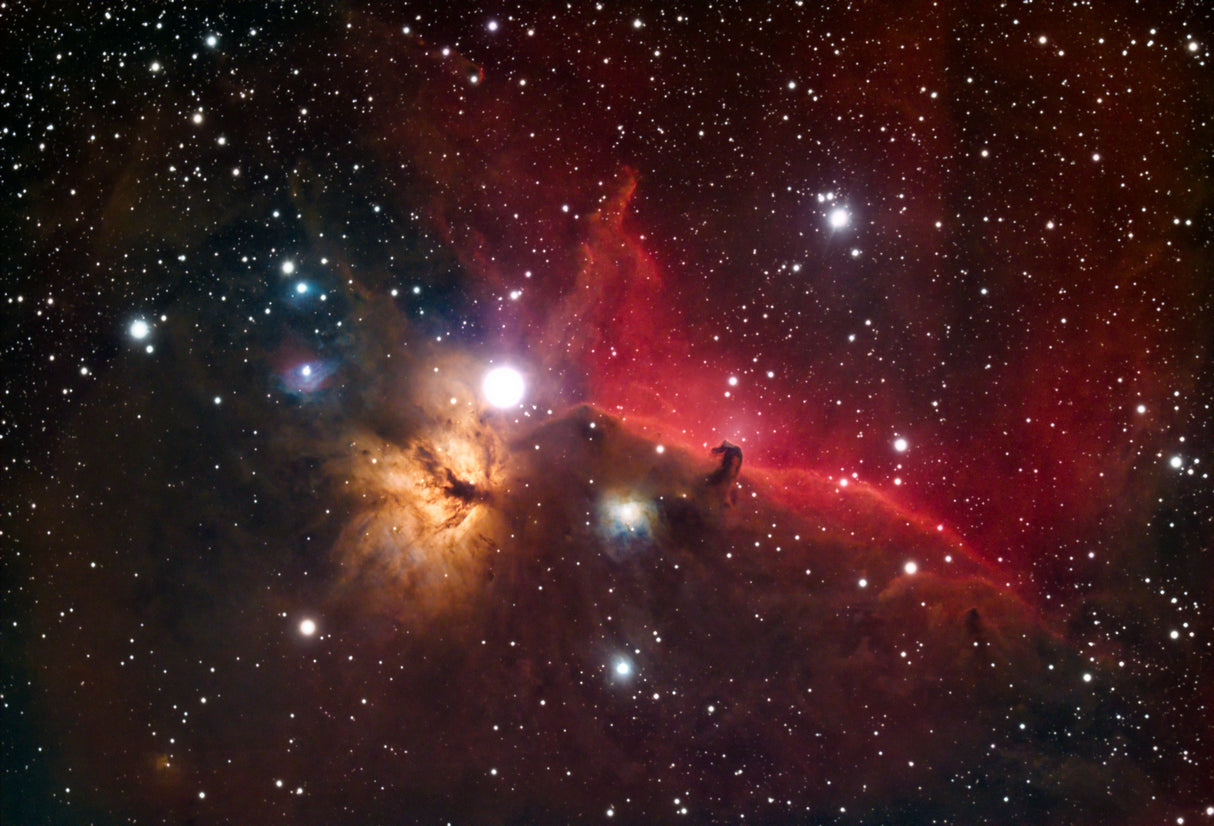 IC434 Horsehead &Flame Nebula Poster och Canvastavla