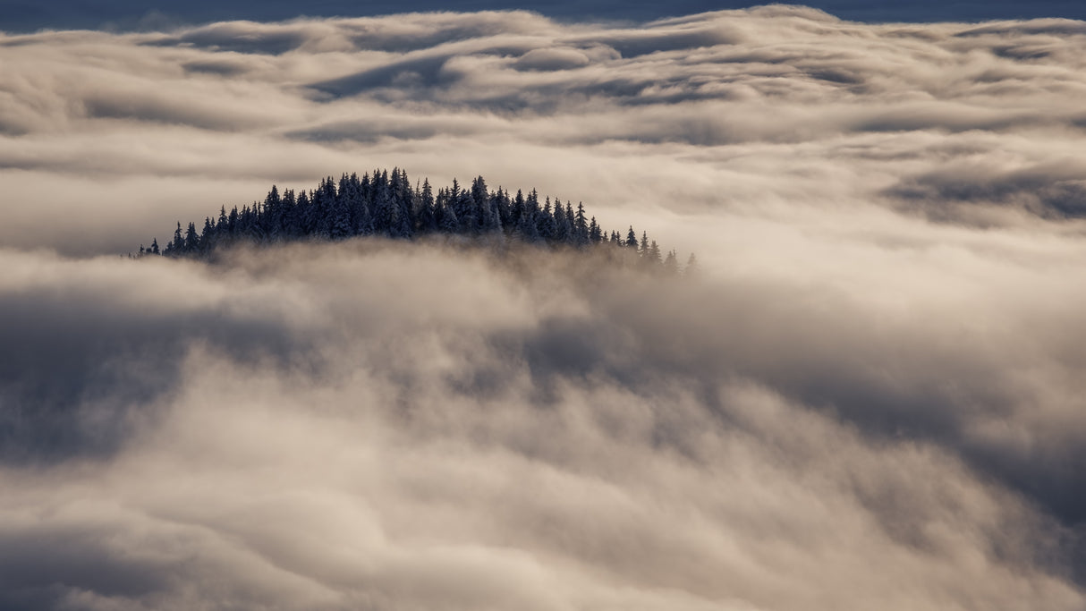 Island in the sea of clouds at sunset Poster och Canvastavla