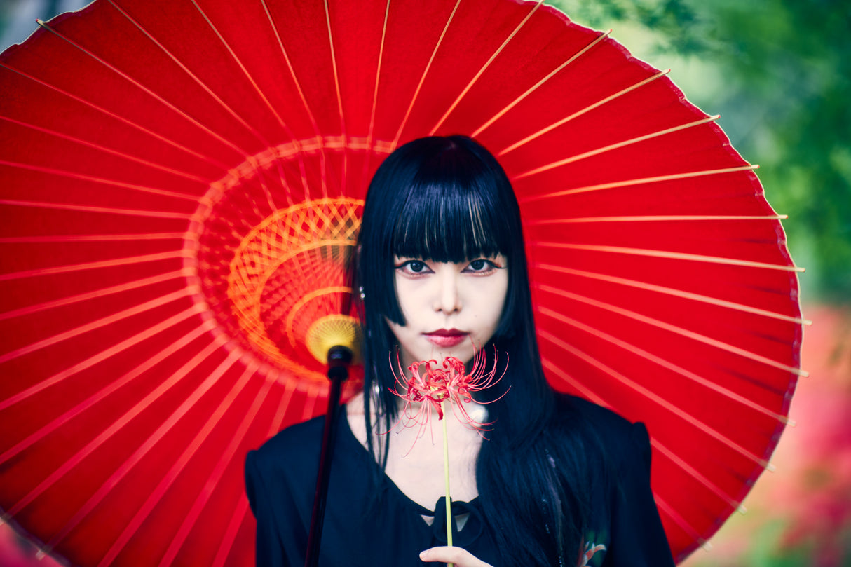 red spider lilies Poster och Canvastavla