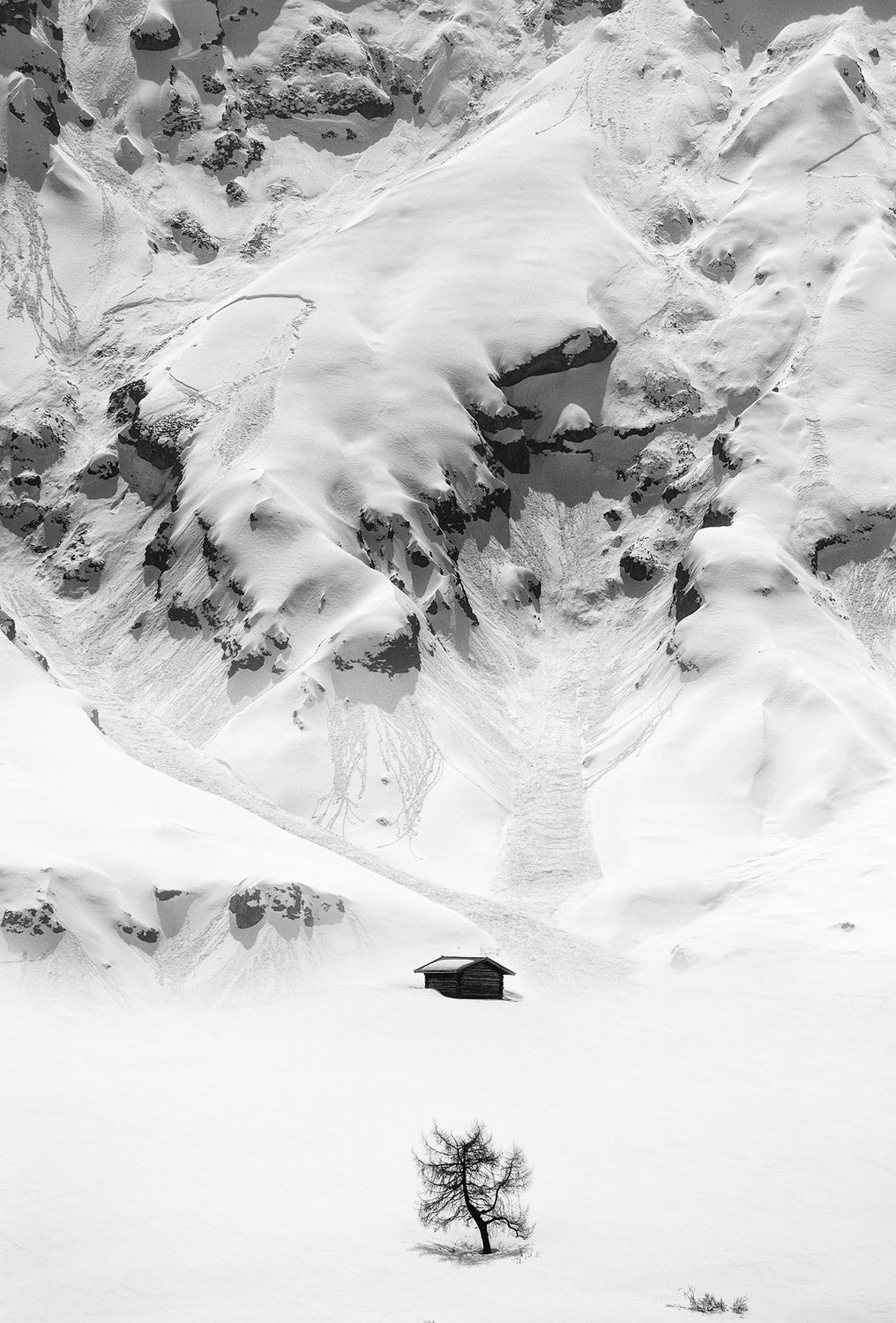 Solitude Poster och Canvastavla