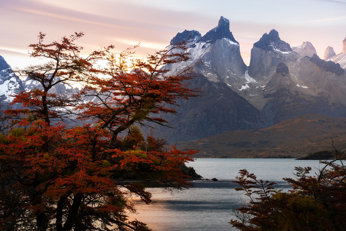 Autumnal sunset Poster och Canvastavla