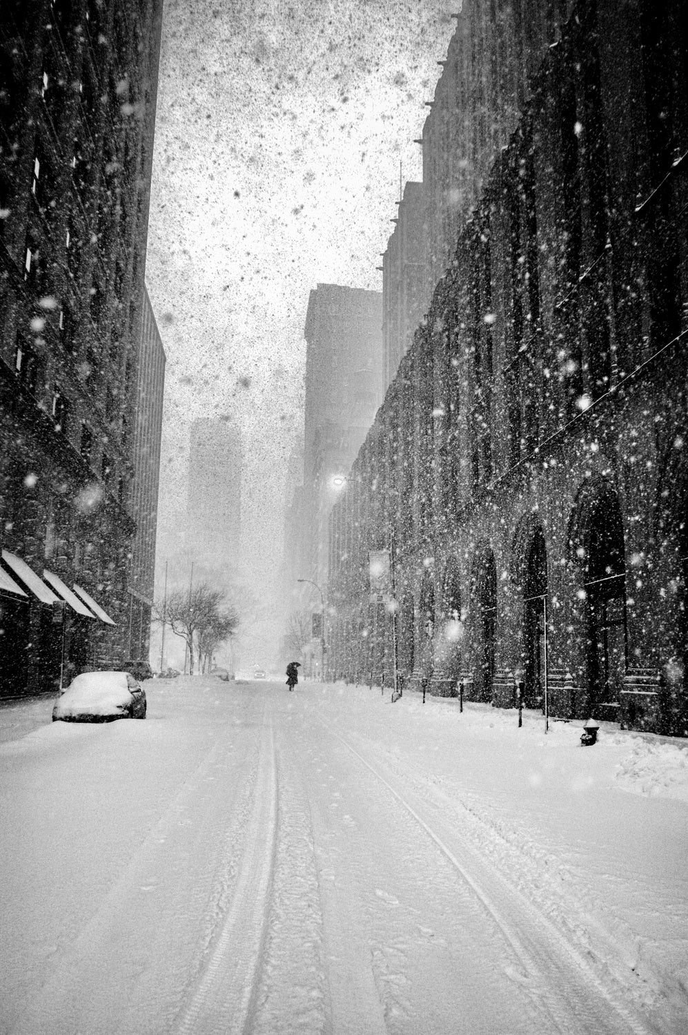 New York Walker in Blizzard Poster och Canvastavla