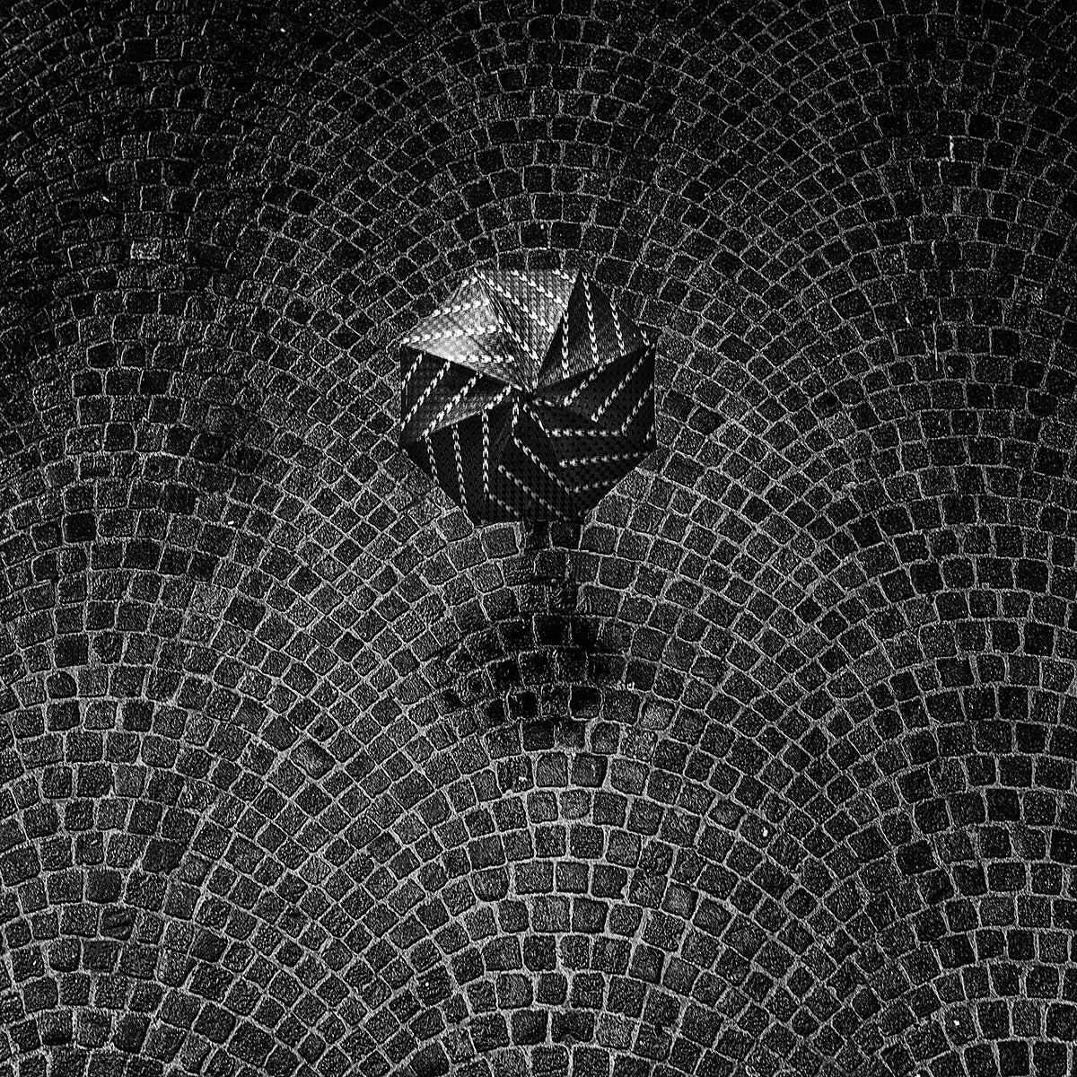 The black umbrella Poster och Canvastavla