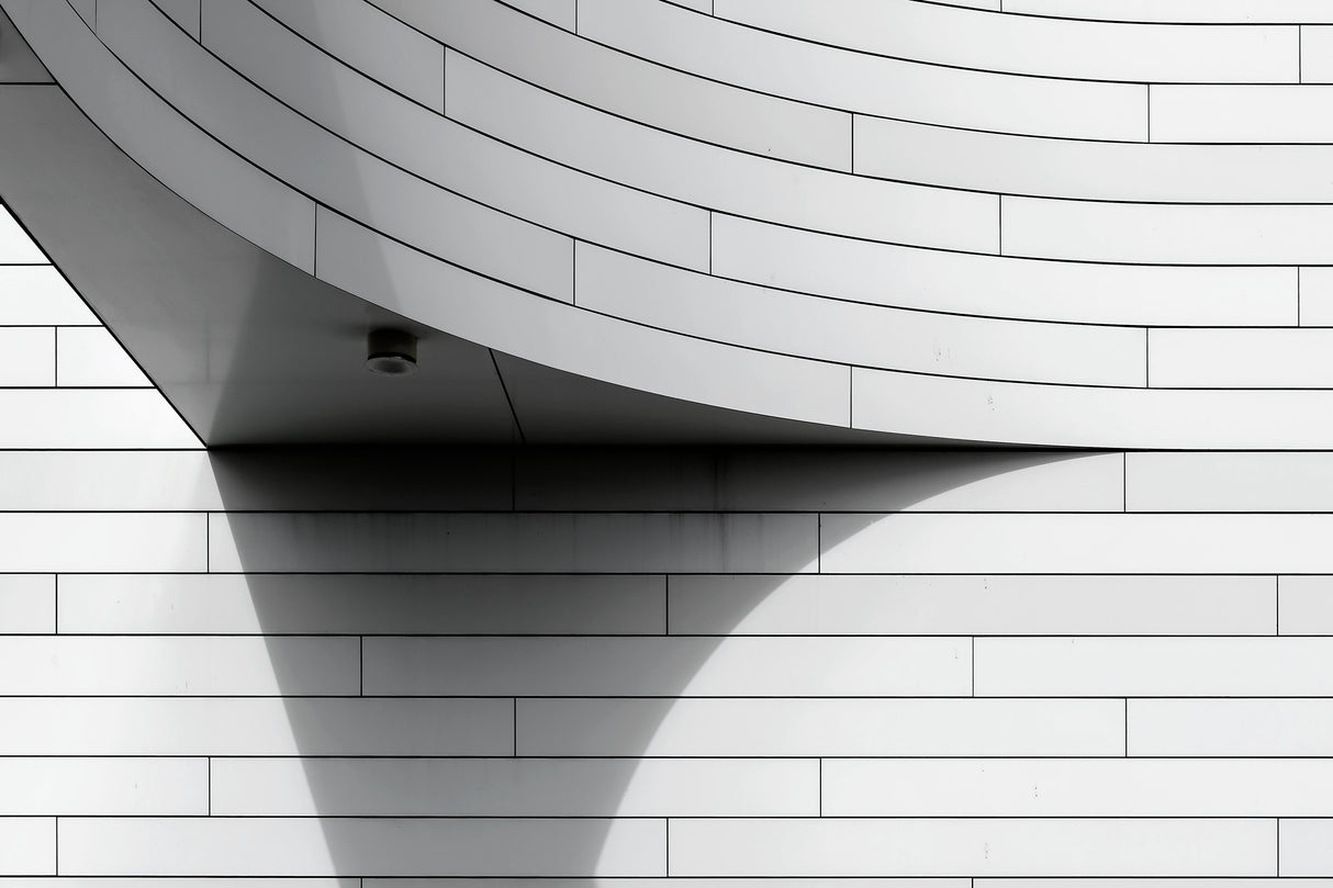 Shadow Poster och Canvastavla