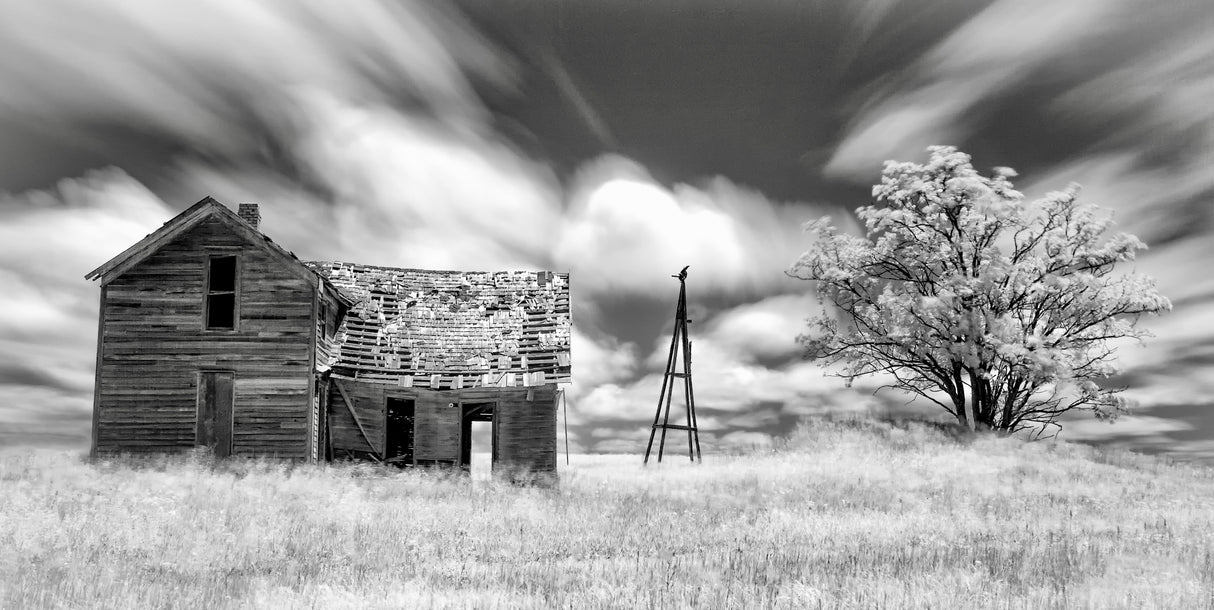 Abandoned (IR) Poster och Canvastavla