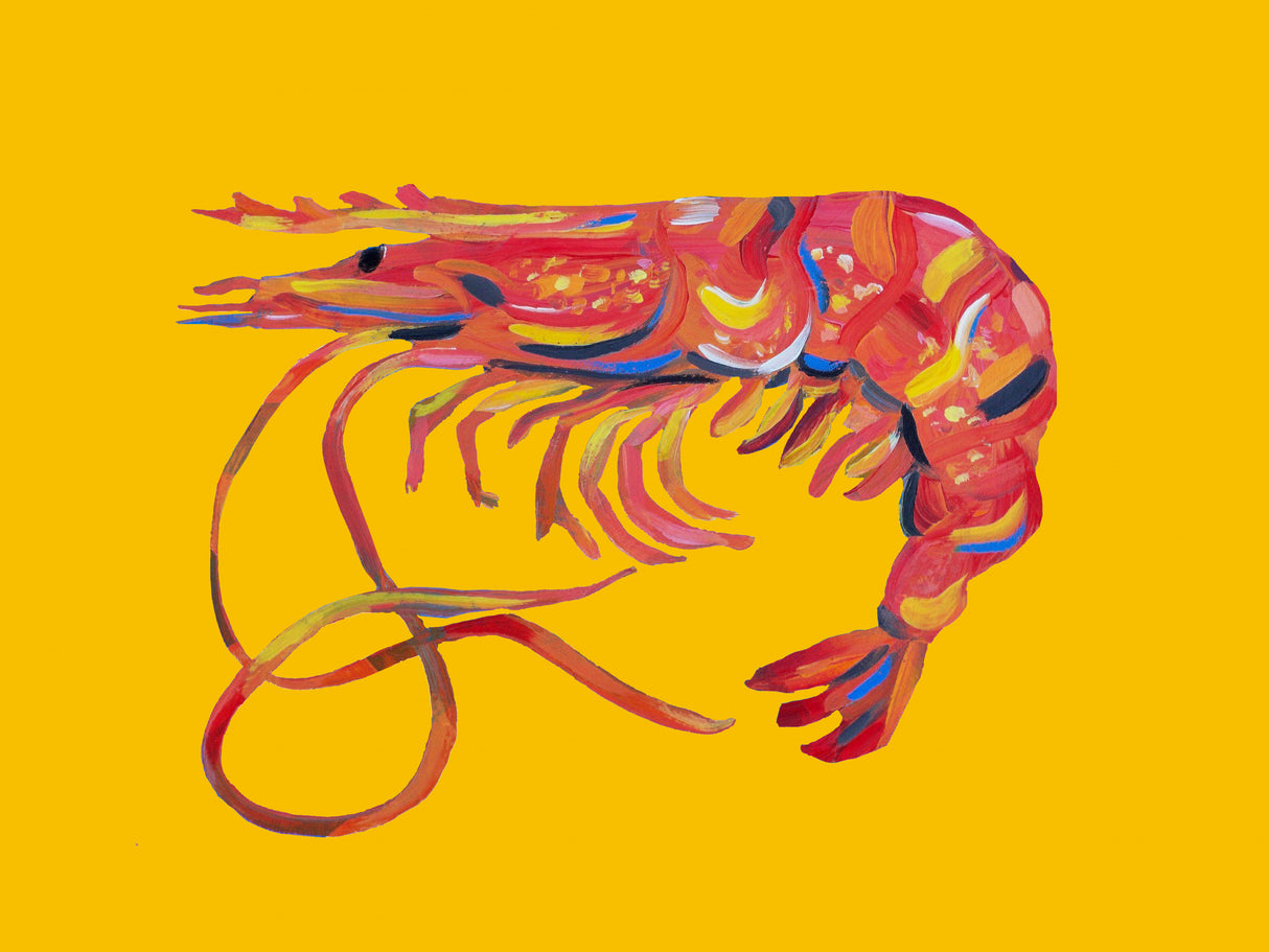 Prawn On Yellow Poster och Canvastavla