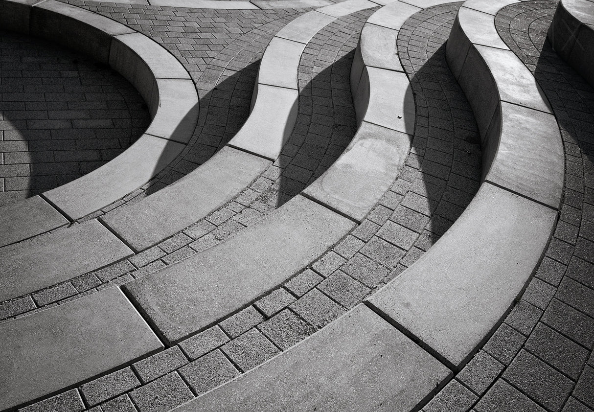 Curves Poster och Canvastavla