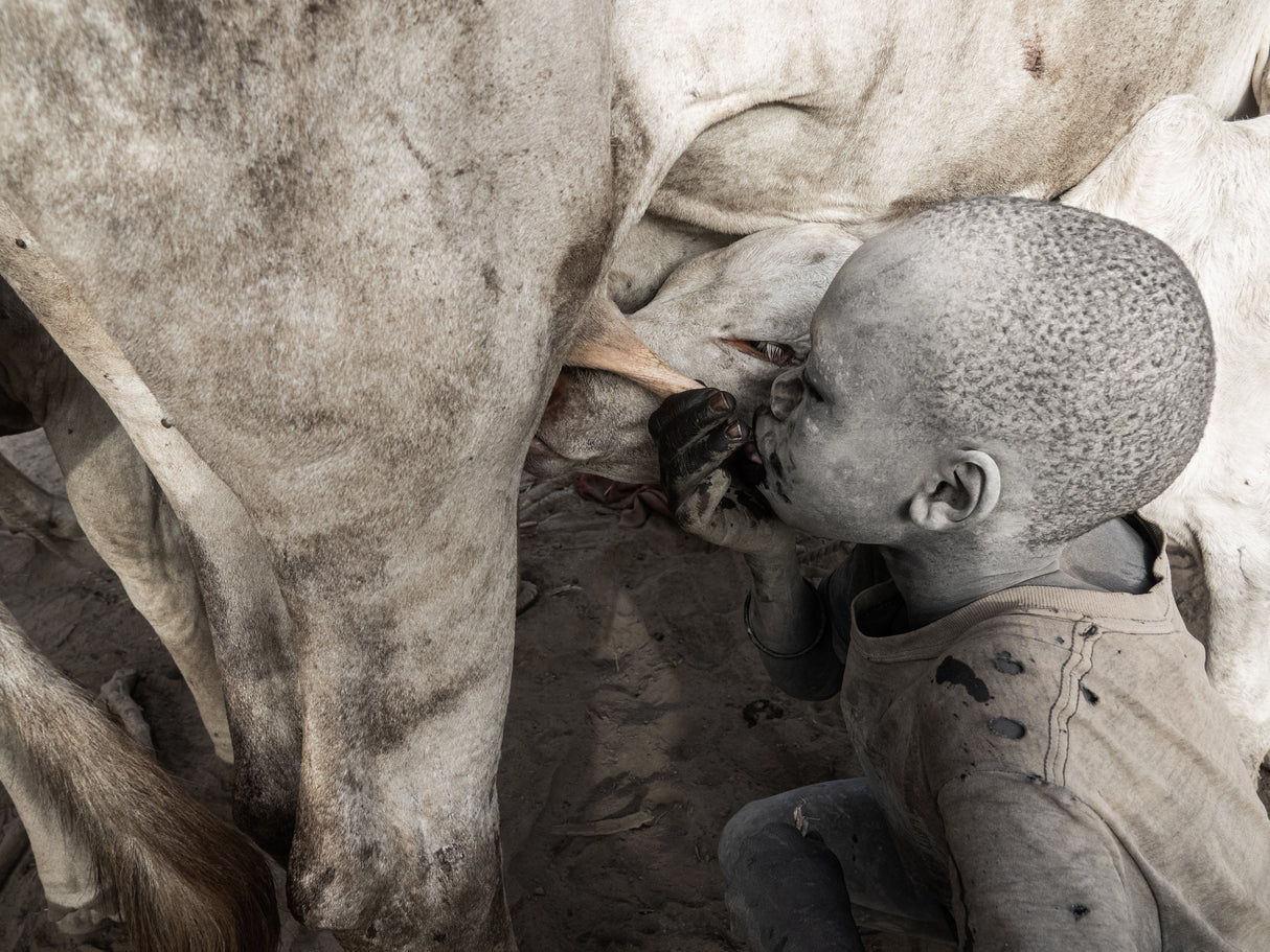 Shared feeding Poster och Canvastavla